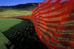 Paul Dougan Biography: Exhibitions